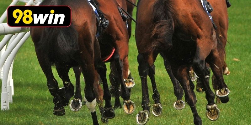 Các loại kèo cược phổ biến hiện nay