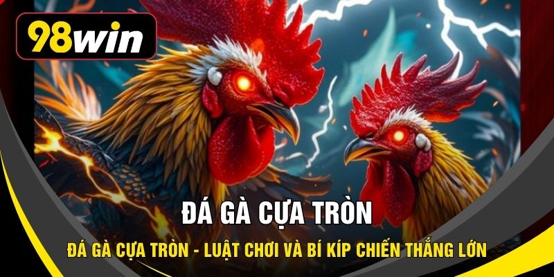 Đá Gà Cựa Tròn - Luật Chơi Và Bí Kíp Chiến Thắng Lớn
