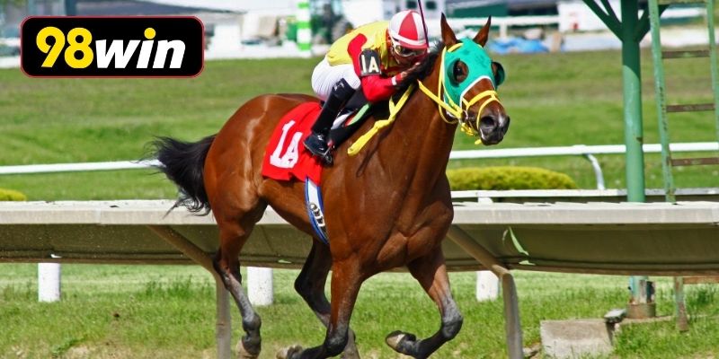 Khám phá kèo đua ngựa Dubai hấp dẫn